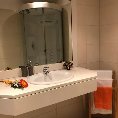 公寓 Madeira Paradise 卡尼索